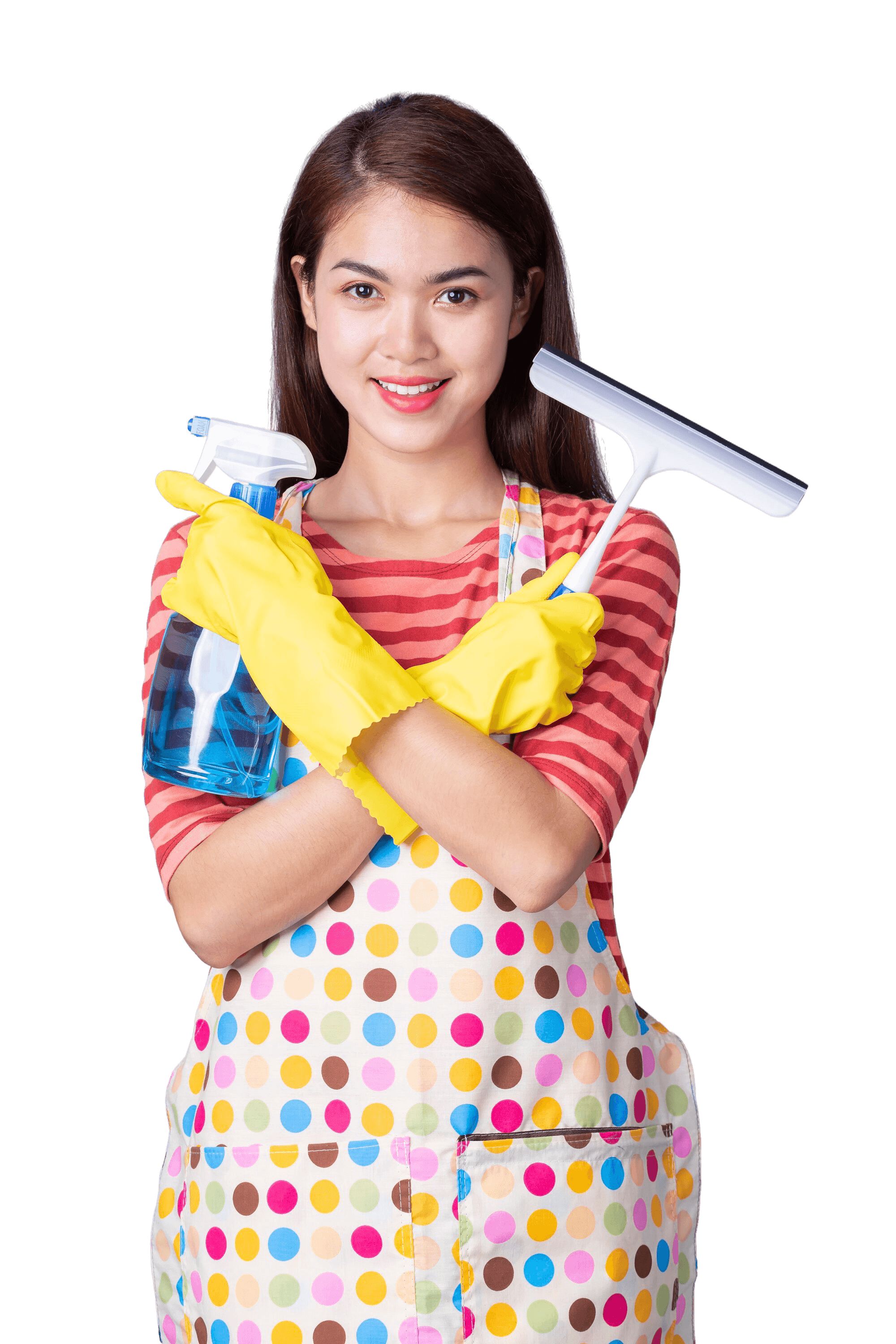 Professional cleaning service